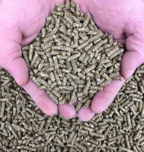 Alimento balanceado para conejo x 30 kg